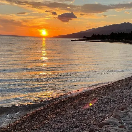 Golden Apple * Seline